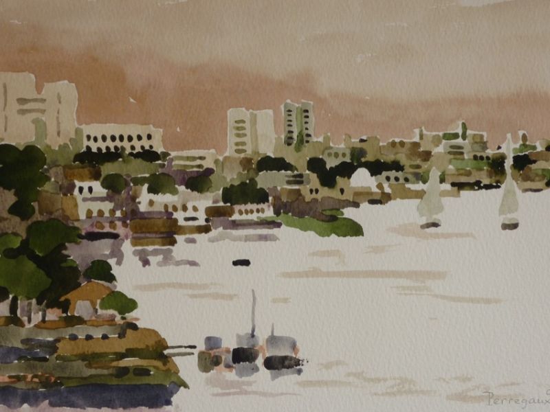 P1000252